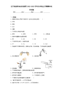 辽宁省沈阳市沈北新区2022-2023学年九年级上学期期中化学试题(含答案)