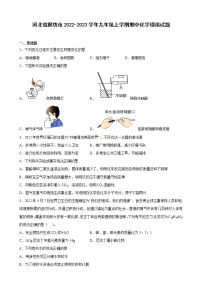 河北省廊坊市2022-2023学年九年级上学期期中化学模拟试题(含答案)