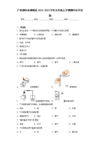 广西柳州市柳城县2022-2023学年九年级上学期期中化学试题(含答案)