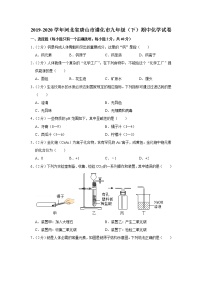 2019-2020学年河北省唐山市遵化市九年级（下）期中化学试卷_