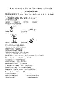 黑龙江省齐齐哈尔市第三中学2022-2023学年九年级上学期期中化学试题(含答案)