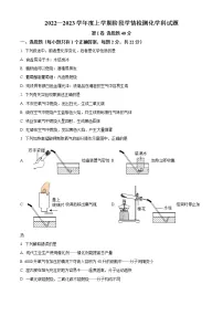 山东省潍坊市诸城市实验中学2022-2023学年九年级上学期第一次月考化学试题(含答案)