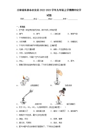 吉林省长春市农安县2022-2023学年九年级上学期期中化学试题(含答案)