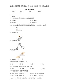 天津市西青区杨柳青第三中学2022-2023学年九年级上学期期中化学试题(含答案)