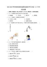 2022-2023学年河南省南阳市新野县新航中学九年级（上）月考化学试卷