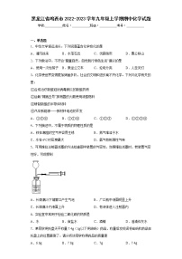 黑龙江省鸡西市2022-2023学年九年级上学期期中化学试题(含答案)