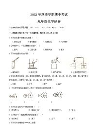 广西武来宾市宣民族中学2022-2023学年九年级上学期期中考试化学试卷(含答案)