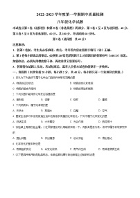 山东省泰安市东平县2022-2023学年八年级上学期期中化学试题(含答案)