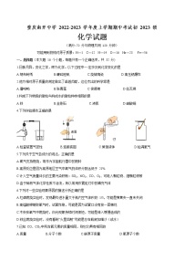 重庆市南开中学 2022-2023 学年九年级上学期期中考试化学试题(含答案)