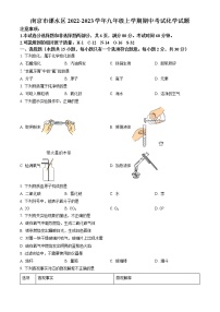 南京市溧水区2022-2023学年九年级上学期期中考试化学试题（含答案）