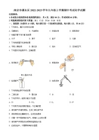 南京市溧水区2022-2023学年九年级上学期期中考试化学试题（含解析）