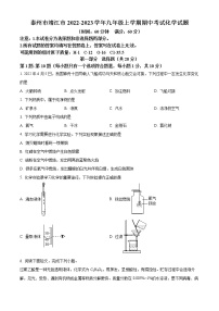 泰州市靖江市2022-2023学年九年级上学期期中考试化学试题（含解析）