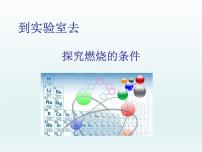 鲁教版九年级上册到实验室去：探究燃烧的条件图片课件ppt