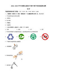 广东省佛山市南海区狮山镇2022-2023学年九年级上学期期中化学试题(含答案)