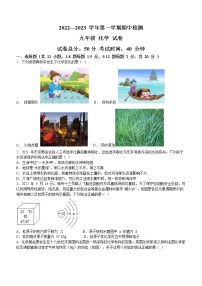 广东省深圳市南山第二外国语学校（集团）2022-2023学年九年级上学期期中化学试题(含答案)