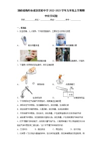 湖南省衡阳市成章实验中学2022-2023学年九年级上学期期中化学试题(含答案)