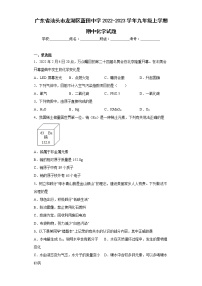 广东省汕头市龙湖区蓝田中学2022-2023学年九年级上学期期中化学试题(含答案)