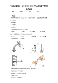 广西柳州市第二十五中学2022-2023学年九年级上学期期中化学试题(含答案)