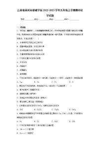 江苏省苏州市景城学校2022-2023学年九年级上学期期中化学试题(含答案)