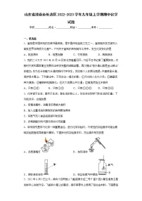 山东省济南市长清区2022-2023学年九年级上学期期中化学试题-(含答案)