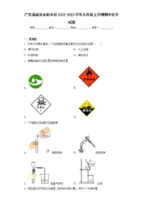 广东省韶关市新丰县2022-2023学年九年级上学期期中化学试题(含答案)