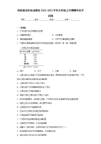 河南省安阳市汤阴县2022-2023学年九年级上学期期中化学试题(含答案)