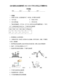 山东省烟台市南部地区2022-2023学年九年级上学期期中化学试题(含答案)