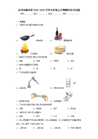 天津市部分区2022-2023学年九年级上学期期中化学试题(含答案)