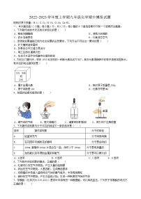 安徽省合肥市卓越中学2022_2023学年九年级上学期化学期中模拟试题(含答案)