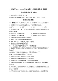 陕西省宝鸡市凤翔区2022-2023学年九年级上学期期中考试化学试题(含答案)