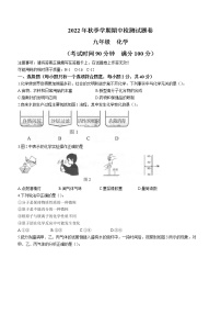 广西河池市凤山县2022-2023学年九年级上学期期中化学试题（含答案）