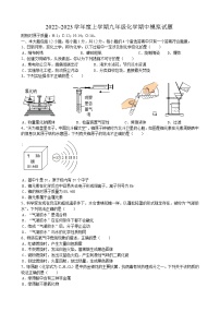 安徽省淮南市凤台县大山中学2022_2023学年九年级上学期化学期中模拟试题(含答案)