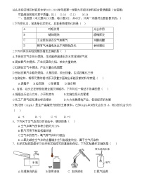 广东省汕头市经济特区林百欣中学2022-2023学年九年级上学期综合素质摸查化学试卷(含答案)