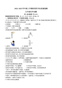 山东省临沂市郯城县2022-2023学年九年级上学期期中线上测试化学试题(含答案)