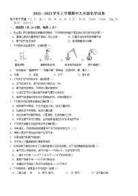 河南省郑州市树人外国语中学2022-2023学年九年级上学期期中考试化学试卷