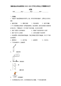 湖南省永州市新田县2022-2023学年九年级上学期期中化学试题(含答案)