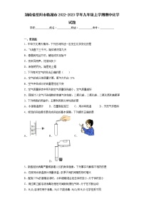 湖南省岳阳市临湘市2022-2023学年九年级上学期期中化学试题(含答案)