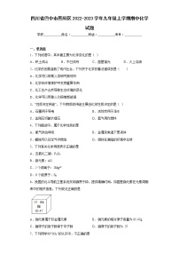 四川省巴中市恩阳区2022-2023学年九年级上学期期中化学试题(含答案)