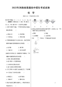 2022年河南省普通中招化学考试试卷（含答案解析）