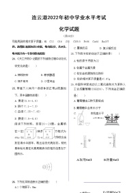 连云港2022年初中学业水平考试化学试题（含答案解析）