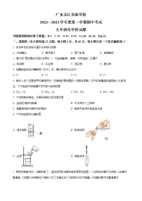 广东省韶关市武江区广东北江实验学校2022-2023学年九年级上学期期中化学试题(含答案)