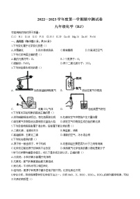 河南省漯河市召陵区青年镇初级中学2022-2023学年九年级上学期期中化学试题(含答案)