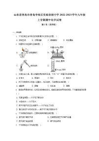 山东省青岛市李沧区实验初级中学2022-2023学年九年级上学期期中化学试卷(含答案)