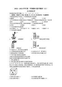 河南省周口市沈丘县中英文学校2022-2023学年九年级上学期期中化学试题（含答案）