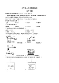 山东省泰安市新泰市2022-2023学年九年级上学期期中化学试题（含答案）