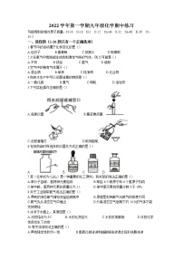 上海外国语大学双语学校2022-2023学年九年级上学期期中化学试题（含答案）