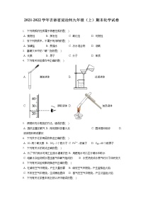 2021-2022学年吉林省延边州九年级（上）期末化学试卷（含答案解析）