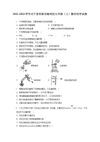 2021-2022学年辽宁省阜新市海州区九年级（上）期末化学试卷（含答案解析）