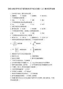 2021-2022学年辽宁省阜新市太平区九年级（上）期末化学试卷（含答案解析）