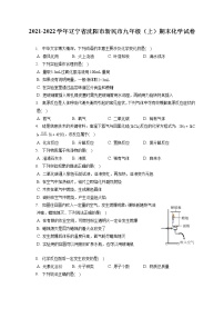 2021-2022学年辽宁省沈阳市新民市九年级（上）期末化学试卷（含答案解析）